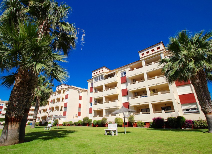 Resale - Wohnung -
Playa Flamenca